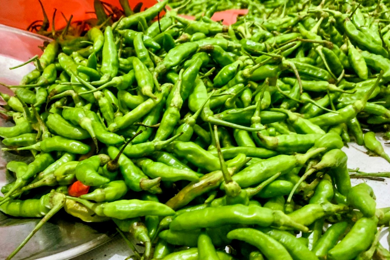 Petani adat Pandumaan-Sipituhuta