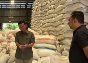 Bulog Sumut Tembus 58% Penyaluran Jagung SPHP ke Peternak Ayam Telur, Harga Pakan Stabil di Rp 5.000 per Kg