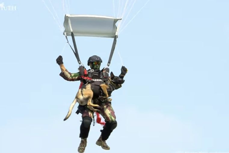 HUT ke-80 TNI