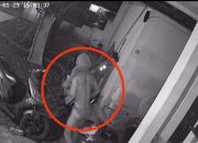 Pencuri Bercelana Dalam Panjat Pagar Warga di Medan, Warganet Heboh Serukan “Kolor Ijo Kambuh!”