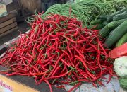Harga Sembako di Medan Hari Ini: Cabai Merah Tembus Rp 84 Ribu, Wortel Ikut Melonjak