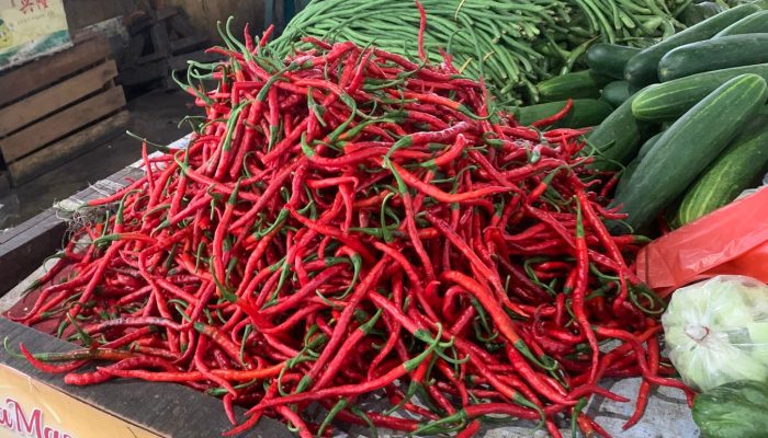 Harga Sembako di Medan Hari Ini: Cabai Merah Tembus Rp 84 Ribu, Wortel Ikut Melonjak