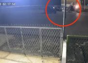 Begal Medan, 5 Pelaku Rampas Motor Perempuan di Jalan Sutrisno