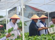 Dari Balik Jeruji Menuju Sawah: Warga Binaan Lapas Jadi Kekuatan Baru Ketahanan Pangan