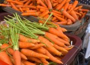 Harga Wortel Melonjak di Medan, Tembus Rp 20 Ribu per Kg Awal Pekan Ini