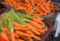 Tumpukan wortel di Pasar Simpang Limun Medan. Sayur wortel mengalami lonjakan harga secara signifikan pada awal pekan, Senin (13/10/2025). Topikseru.com/Agus Sinaga