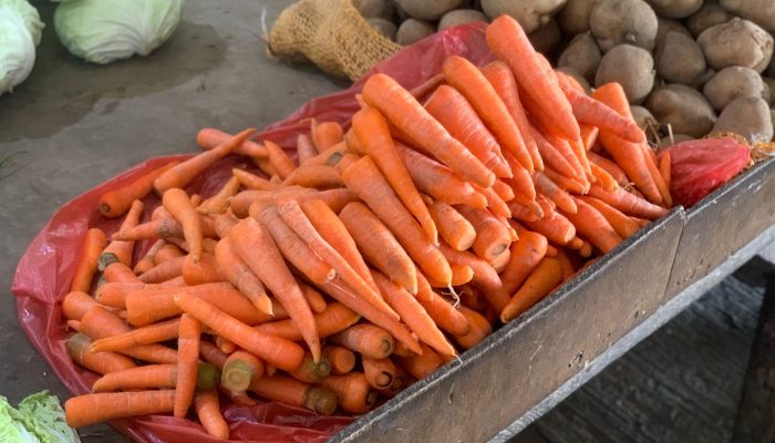 Harga Wortel Naik Tajam di Medan, Tembus Rp 22.000 per Kg! Konsumen Mulai Menjerit