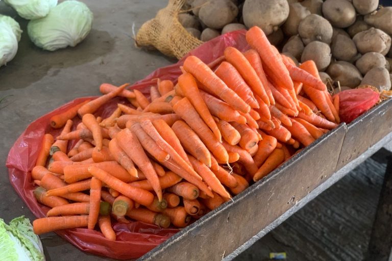 harga wortel hari ini