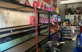 Lyly Catshop dibobol