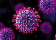 Influenza Merebak di Jepang dan Malaysia, Dinkes Sumut Beber Kondisi Terkini