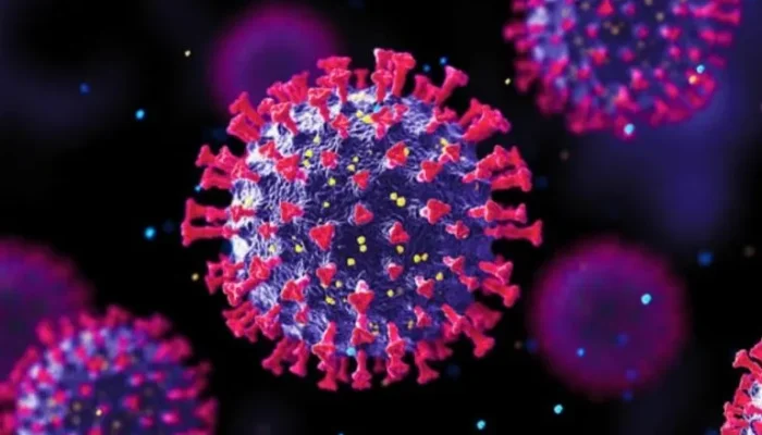 Influenza Merebak di Jepang dan Malaysia, Dinkes Sumut Beber Kondisi Terkini