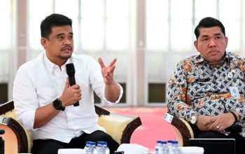 komoditas unggulan Sumut