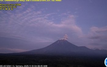Gunung Semeru erupsi