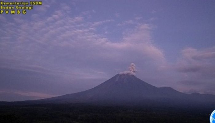 Gunung Semeru Kembali Erupsi Pagi Ini, Kolom Abu Capai 800 Meter, Warga Diminta Waspada