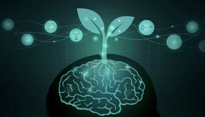 Perbedaan Mental Kaya vs Mental Miskin: Cara Pandang yang Menentukan Nasib Finansial dan Investasi