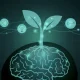 Growth Mindset dalam Keuangan