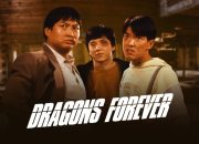 Sinopsis Film Dragon Forever