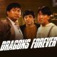 Sinopsis Film Dragon Forever