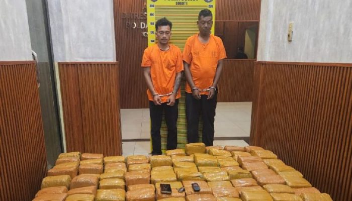 Polda Sumut Buru Pengendali Kurir Pembawa 255 Kg Ganja dari Aceh, Dua Pelaku Sudah Ditangkap