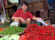 harga cabai merah turun