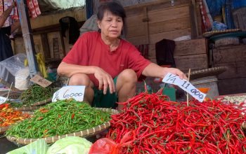 harga cabai merah turun