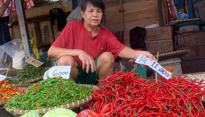 Daftar Harga Bahan Pokok Di Medan: Cabai Lokal Terjun Bebas, Wortel Stagnan Di Angka 24.000