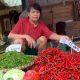 harga cabai merah turun