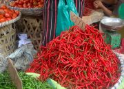 Harga cabai di Medan