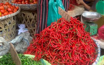 Harga cabai di Medan