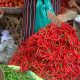 Harga cabai di Medan
