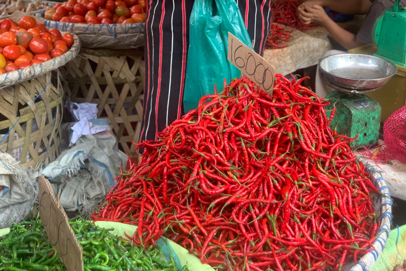 Harga cabai di Medan