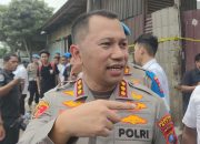 Rayap besi dan Rayap Kayu