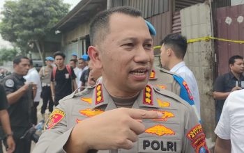 Rayap besi dan Rayap Kayu