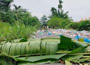 Sampah Bandar Klippa