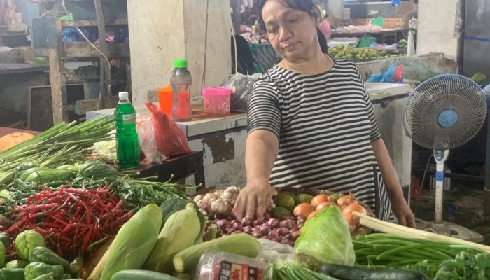Harga Pangan Melonjak, Daya Beli Turun: Pasar Tradisional Medan Sepi Pembeli