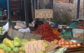 Harga cabai merah Sumut
