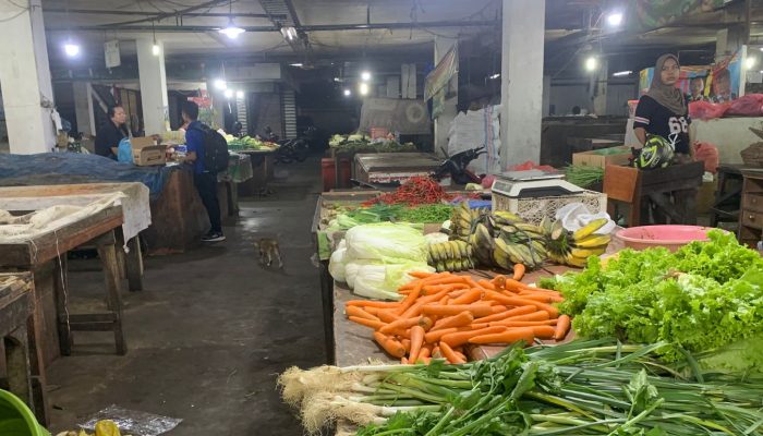 Aktivitas Pasar Tradisional Medan Lesu, Daya Beli Masyarakat Menjadi Sorotan