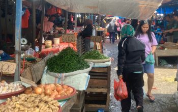 harga cabai merah turun