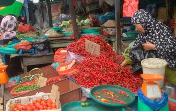 Harga sembako di Medan