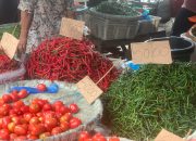 Daftar Harga Bahan Pokok Di Kota Medan: Tomat Anjlok, Ayam Potong Naik Tipis