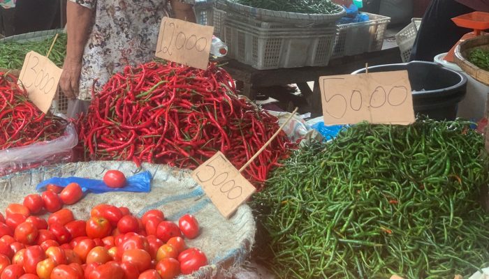 Daftar Harga Bahan Pokok Di Kota Medan: Tomat Anjlok, Ayam Potong Naik Tipis