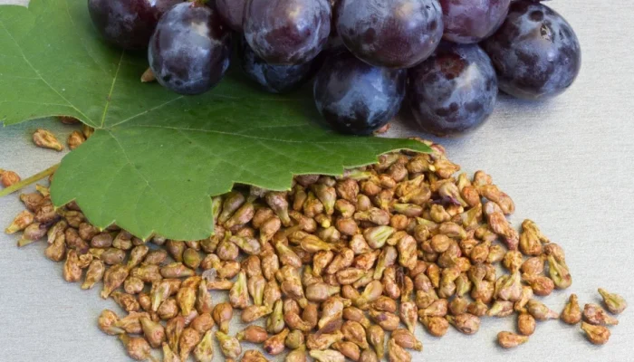 Ambisi Kaisar Qin Shi Huang Hampir Terwujud! Perusahaan China Kembangkan ‘Pil Panjang Umur’ yang  Bisa Bikin Manusia Hidup 150 Tahun