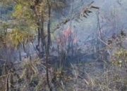 Kebakaran hutan Padangsidimpuan