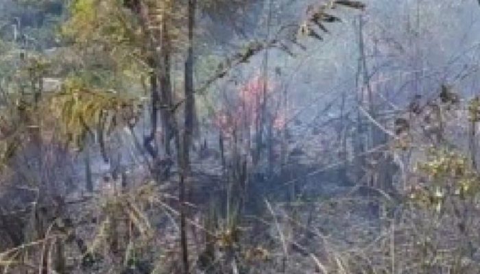 Kebakaran Hutan Lindung Gunung Setan Hanguskan Satu Hektare Lahan di Padangsidimpuan, BPBD Pantau Titik Api