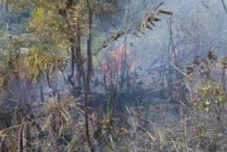 Kebakaran hutan Padangsidimpuan