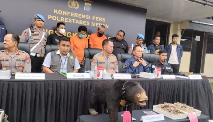 Polrestabes Medan Ungkap Perdagangan Offset Beruang Madu, Penjual Belum Tertangkap