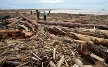 kayu gelondongan banjir Sumatera
