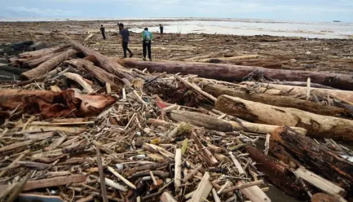 Banjir Sumatera: Bareskrim Usut Kayu Gelondongan, Kemenhut Telusuri Illegal Logging