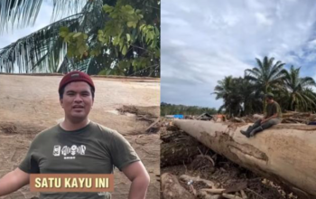 Banjir Bandang Sumatera Sisakan Gelondongan Kayu Raksasa di Aceh Tamiang, Jadi Bukti Dahsyatnya Terjangan Alam