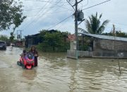 Banjir Serdang Bedagai Belum Surut, Dua Kecamatan Masih Terendam Sepekan, Warga Bertahan di Pengungsian
